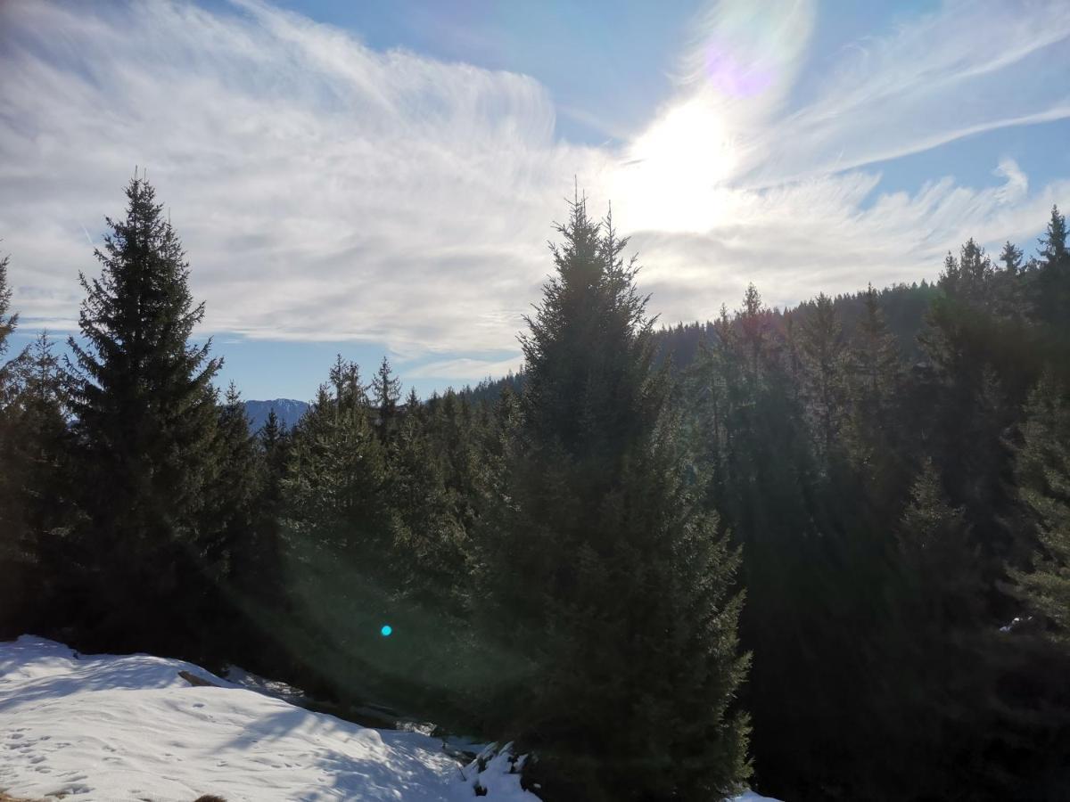 Ferienwohnung In Trin Екстер'єр фото